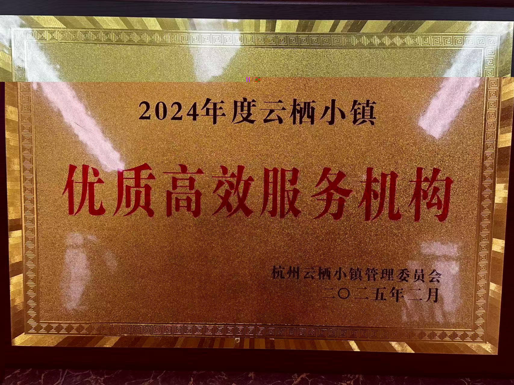 1742204424879571.jpg